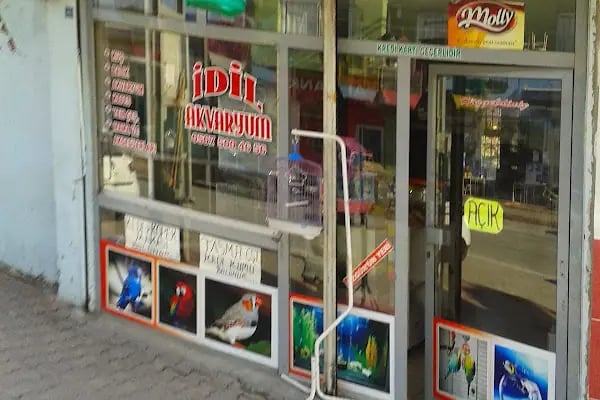 Asel İdil Akvaryum - Resim 4