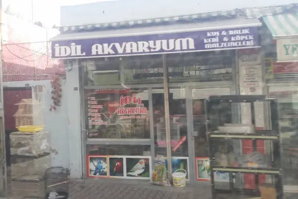 Asel İdil Akvaryum - Resim 16