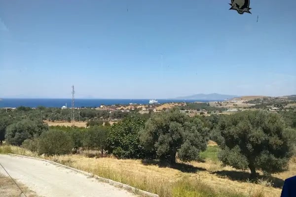 Monachus Boutique Hotel - Resim 10