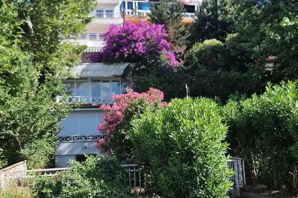 Büyükada Tabiat Parkı - Resim 10