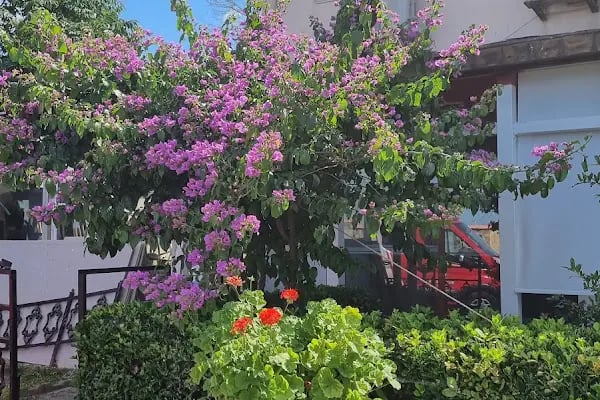 Büyükada Tabiat Parkı - Resim 15