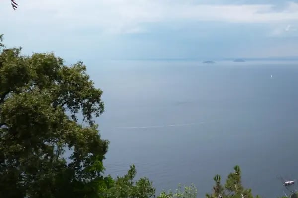 Büyükada Tabiat Parkı - Resim 13