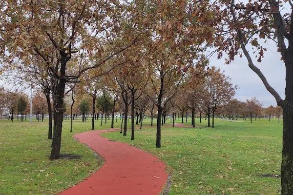 İBB Sahil Parkı - 1 - Resim 15