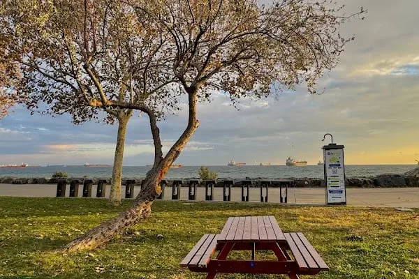 İBB Sahil Parkı - 1 - Resim 4