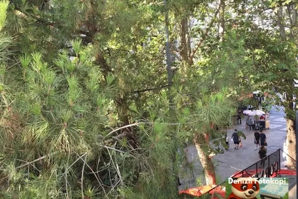 Efsane Fotokopi-Part-Time-Çalışanlar-Aranıyor - Resim 5