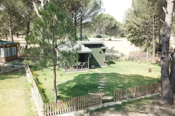Teona Evleri - Resim 5