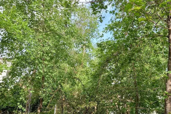 Alanya Belediyesi Park - Resim 10