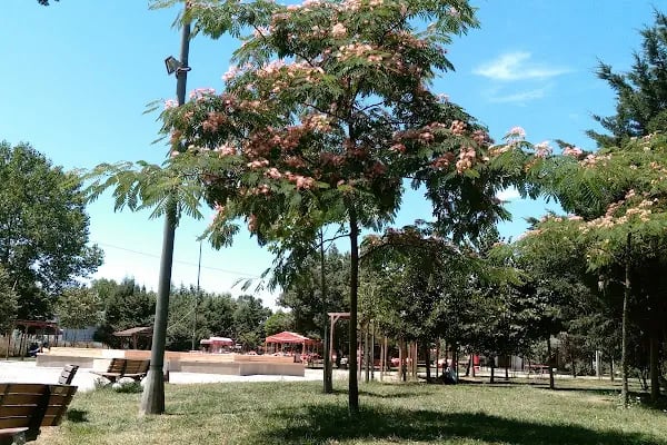 Bolluca Stadı - Resim 18