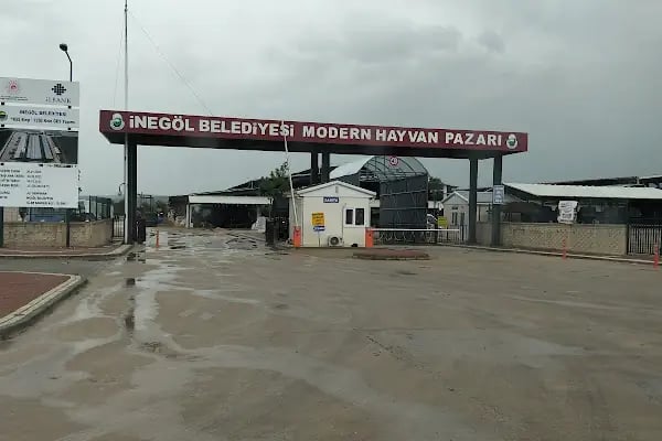 İnegöl Hayvan Pazarı - Resim 11