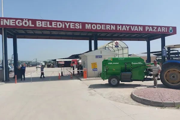 İnegöl Hayvan Pazarı - Resim 9