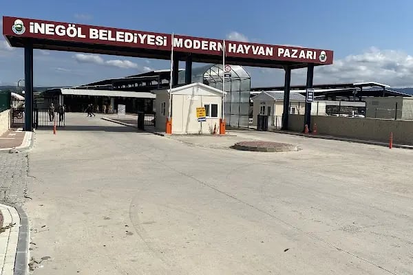 İnegöl Hayvan Pazarı - Resim 2