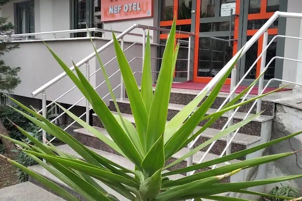 NEF İPEK OTEL - Resim 7