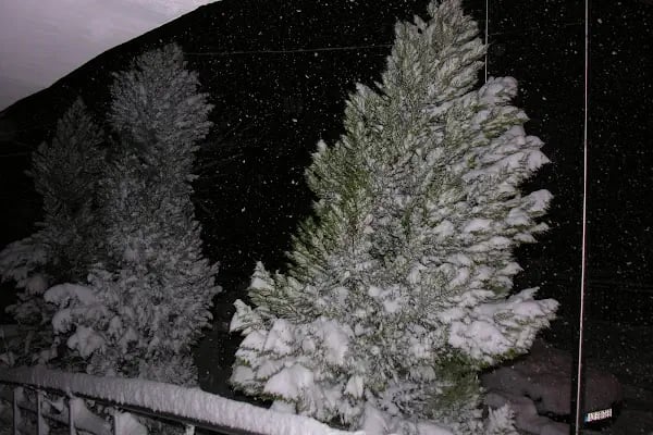 NEF İPEK OTEL - Resim 14
