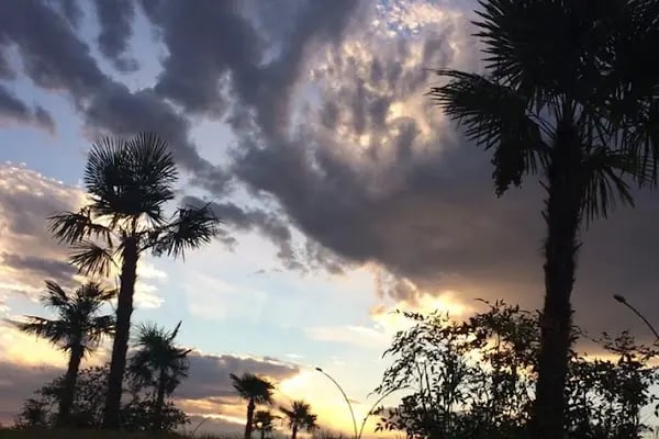 İnegöl Şehir Parkı - Resim 3