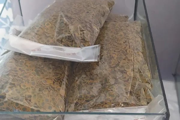 Alperen Petshop - Resim 11
