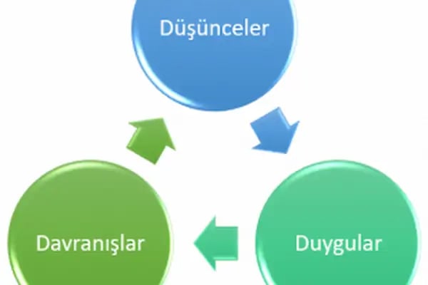 Akademi İstanbul Psikoloji Enstitüsü Diyarbakır Şubesi - Resim 9