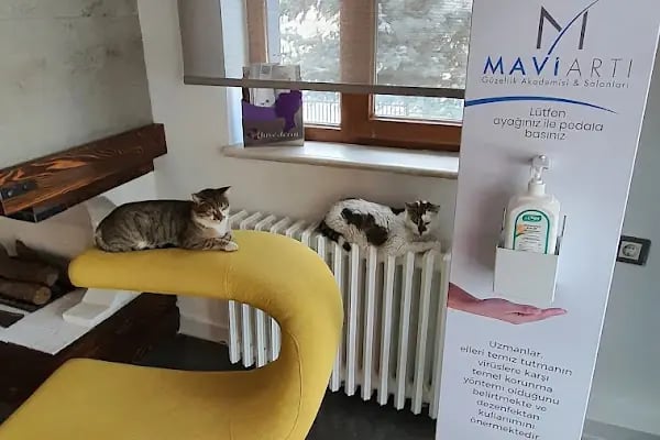 MAVİ ARTI - Konya Ameliyatsız Yüz Germe, Konya Lazer Epilasyon, Konya Burun Dolgusu, Konya Botoks, Konya Dudak Dolgusu - Resim 9