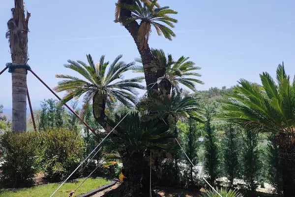Bodrum bahçe - Resim 11