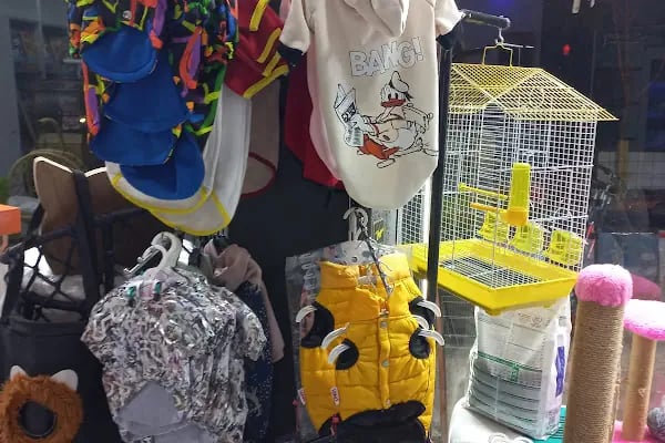 Kukuli Petshop - Resim 14