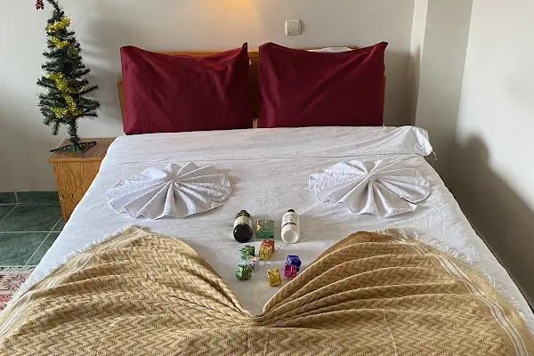 CAN THERMAL KAPLICA APART OTEL - Resim 4