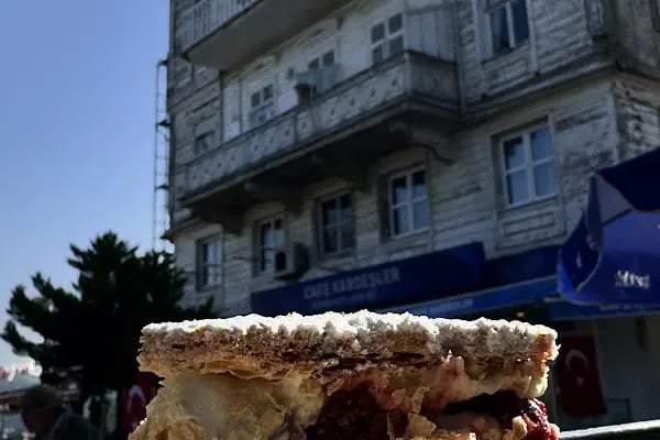 Sait Faik Abasıyanık Heykeli - Resim 19