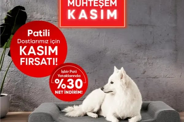İşbir Yatak | Çerkezköy Uyku Merkezi / Tekirdağ - Resim 18