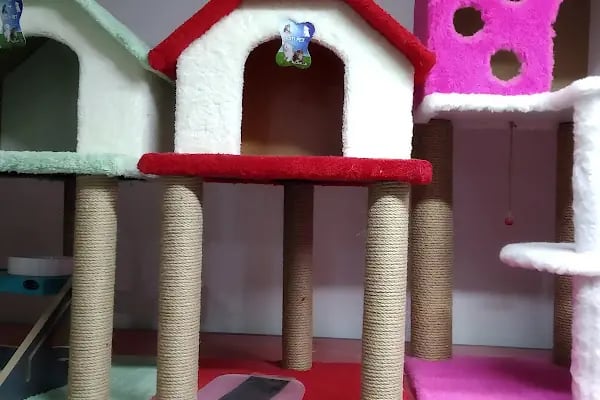 Ayhan PetShop - Resim 14