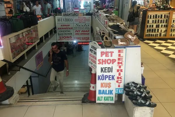 Ayhan PetShop - Resim 10