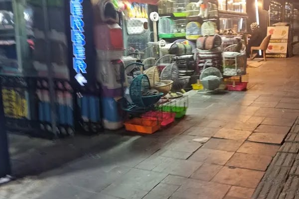 Ayhan PetShop - Resim 5