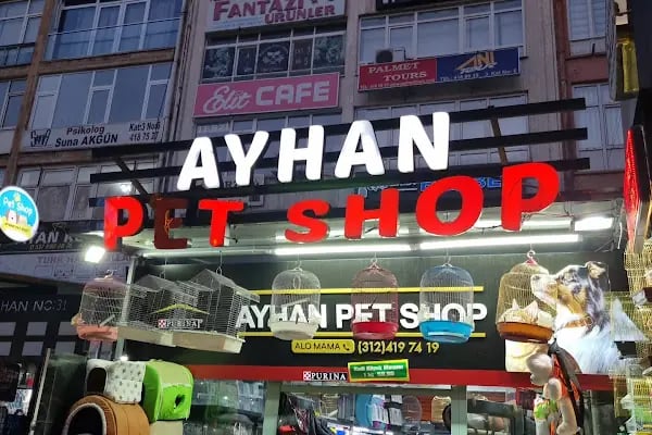 Ayhan PetShop - Resim 7