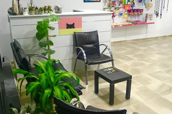 PATİAYAK VETERİNER KLİNİĞİ - Resim 11