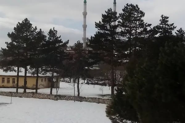 Sincansarnıç İlkokulu Ve Ortaokulu - Resim 5