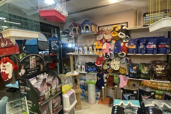 SELİDA PETSHOP - Resim 4