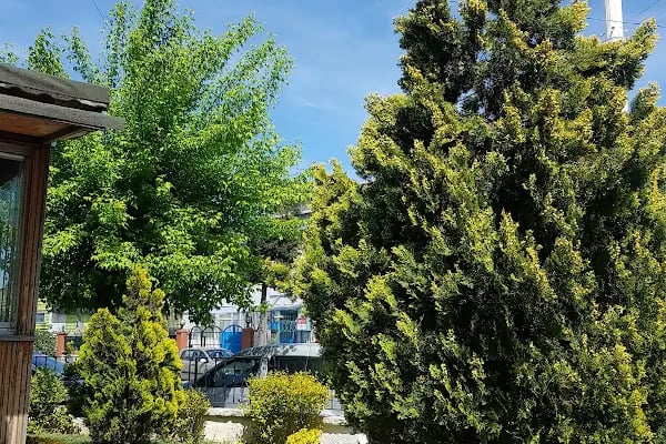 Küçükçekmece Belediyesi Ulubatlı Hasan Parkı - Resim 9