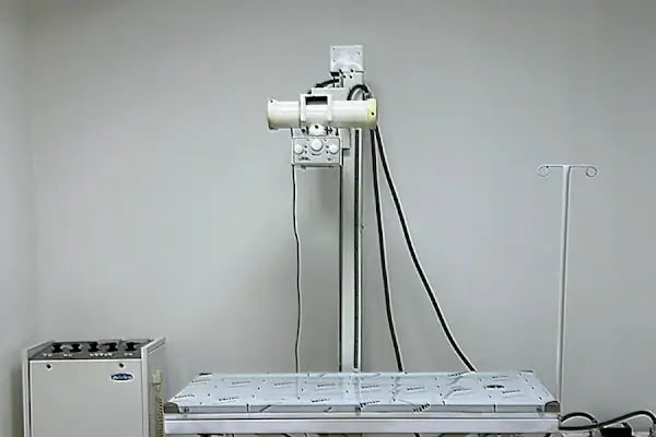 MONTANİA Veteriner Kliniği |ACİL Veteriner | Mudanya Veteriner | Nöbetçi Veteriner - Resim 9
