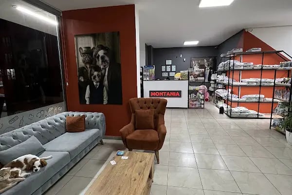 MONTANİA Veteriner Kliniği |ACİL Veteriner | Mudanya Veteriner | Nöbetçi Veteriner - Resim 10