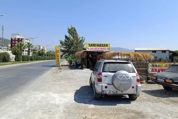 Sarı Hasan Anamur Muzu - Resim 8
