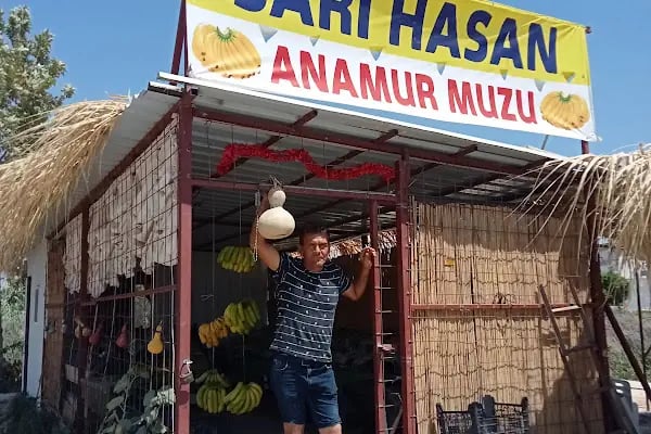 Sarı Hasan Anamur Muzu - Resim 17