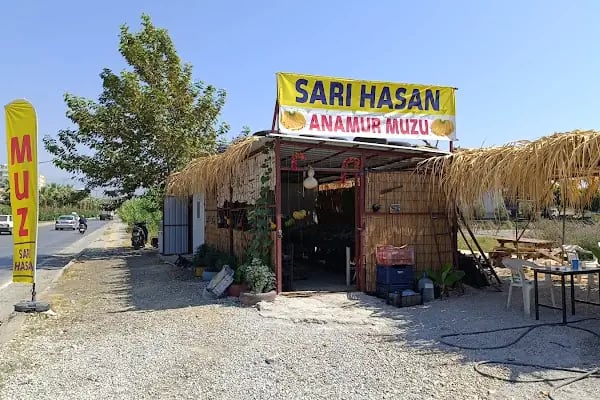 Sarı Hasan Anamur Muzu - Resim 7