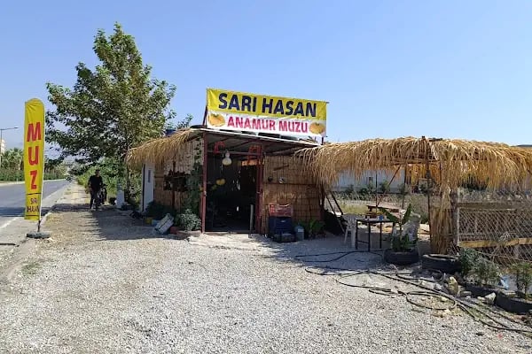 Sarı Hasan Anamur Muzu - Resim 14