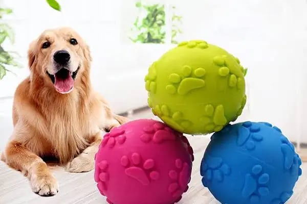 Atomm Petshop - Resim 18