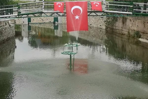 Armutalan Müzesi - Resim 4