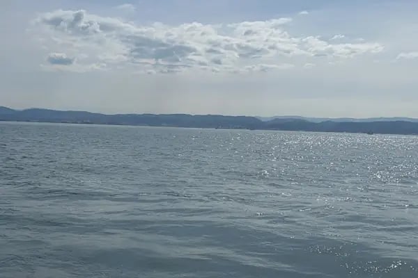 يالوا تيكم yalova tigem - Resim 4