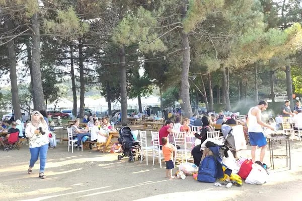يالوا تيكم yalova tigem - Resim 5