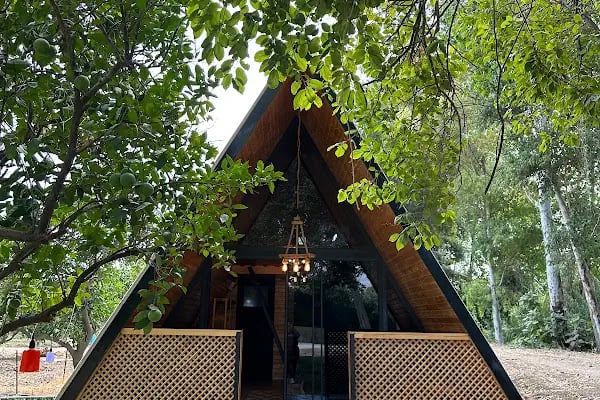Asırlık camping - Resim 7