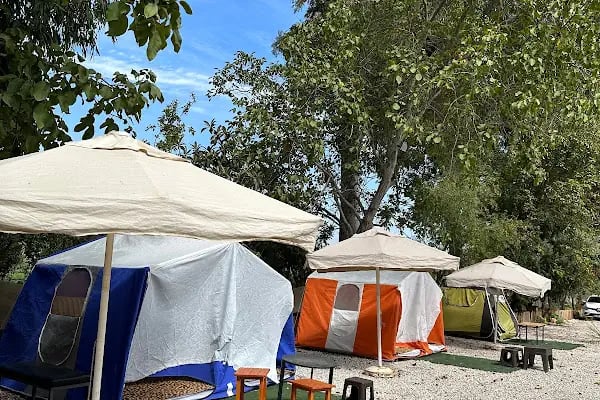 Asırlık camping - Resim 6