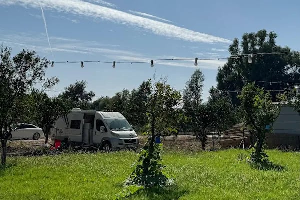 Asırlık camping - Resim 8