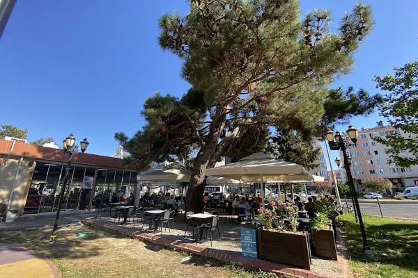 Çorlu Belediyesi Kitap Kafe - Resim 12
