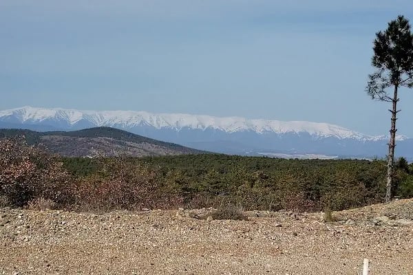 Polis Hatıra Ormanı - Resim 2