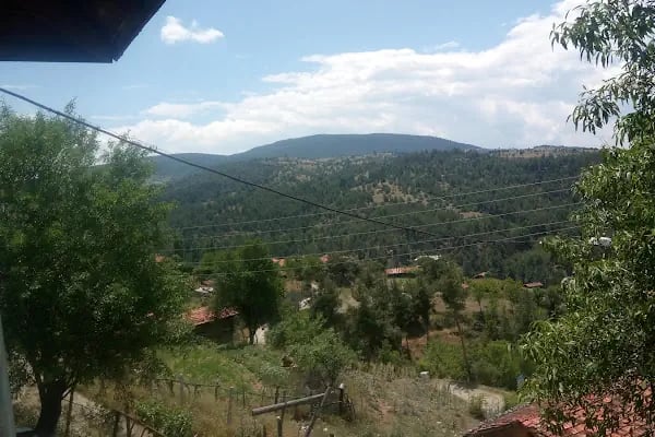 Polis Hatıra Ormanı - Resim 1